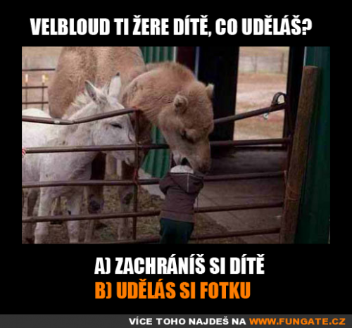 Co uděláš