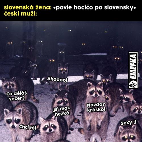 Slovenky