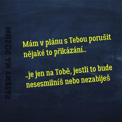  Plán 