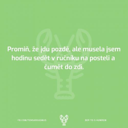 Promiň