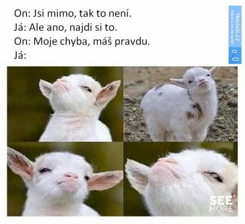  Máš pravdu 