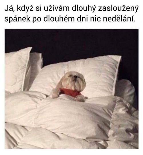  Spánek 