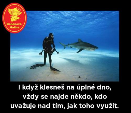 Klekej