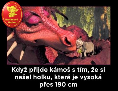  Kámoš 