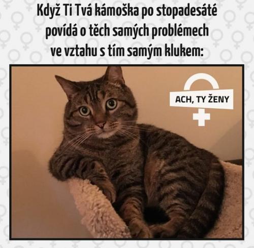  Kámoška 