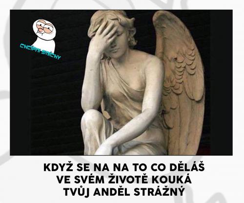  V životě 