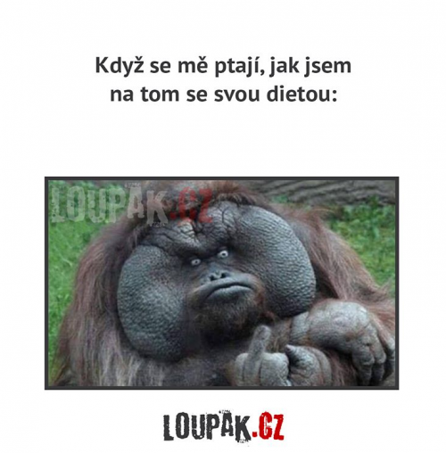 Dietka
