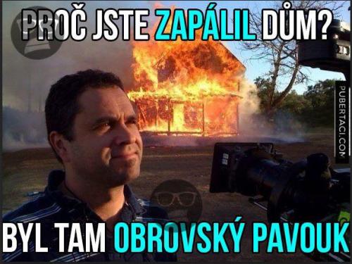  Pavouk 