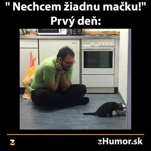 Nechci kočku