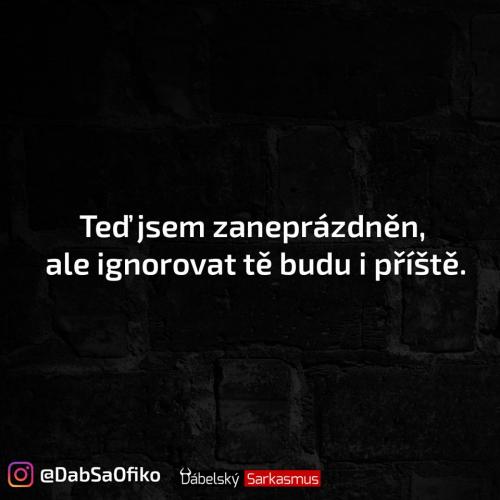 Zaneprázdněné