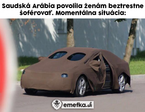 Rízení