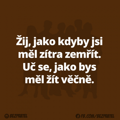  Zivot 