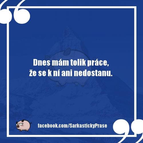  Mám hodně práce 