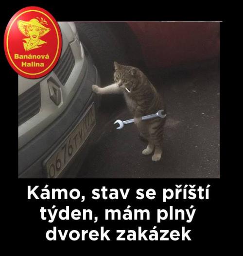 Kámo