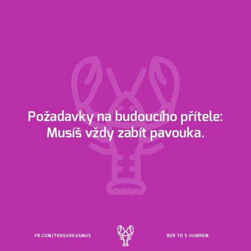 Pavuci