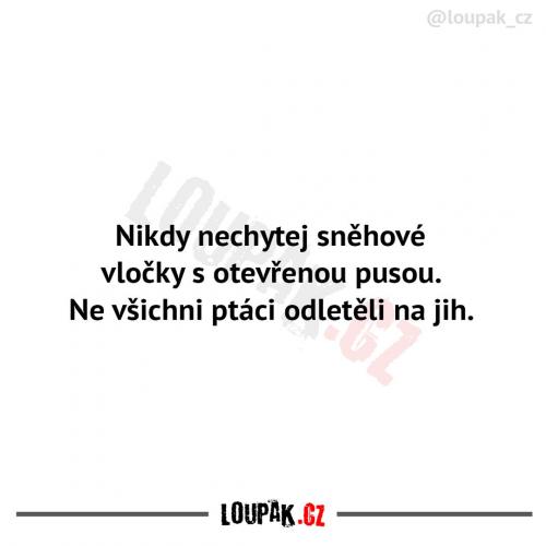  Tohle nebyl dobrý nápad 