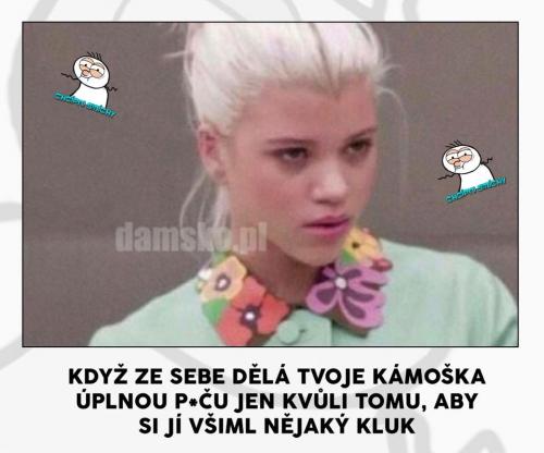  Tvoje kámoška 
