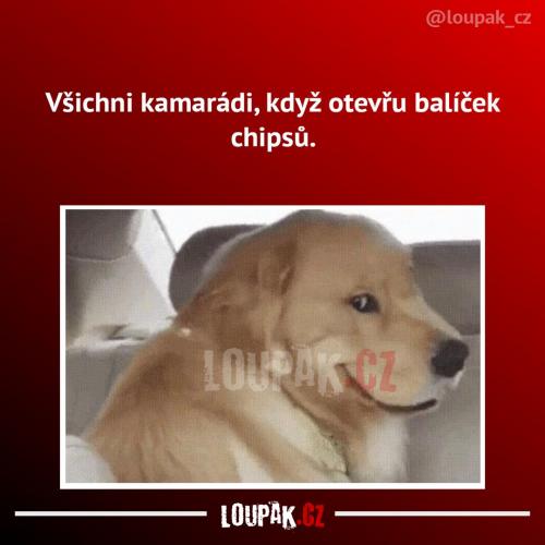  Oni to vidí 