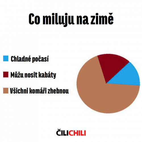  Co miluji v zimě 