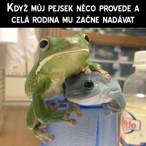 Nechte ho