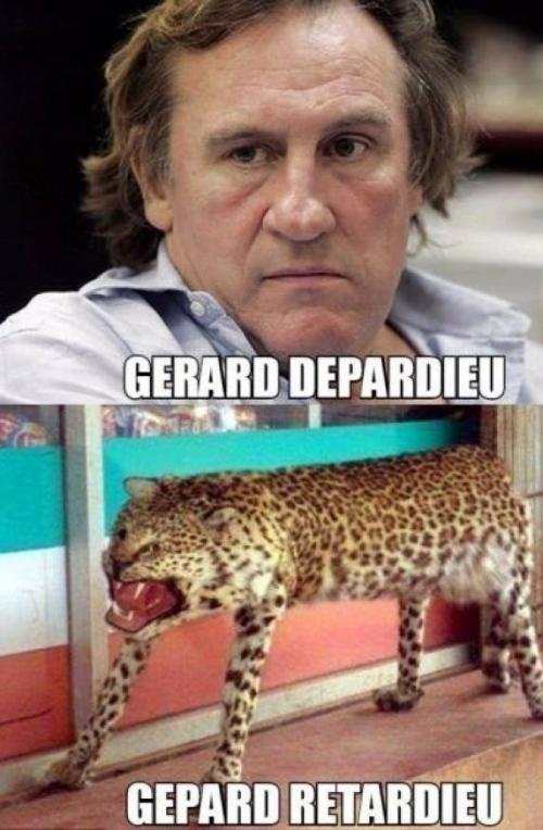Gerard