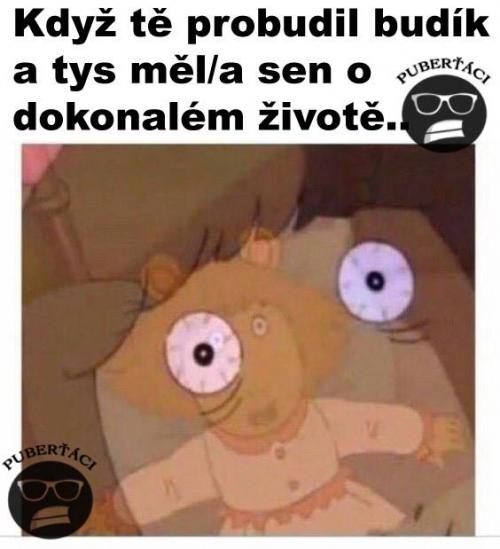  Život 