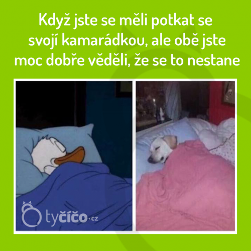  Svoje kamarádka 