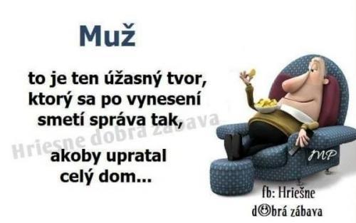 Muý