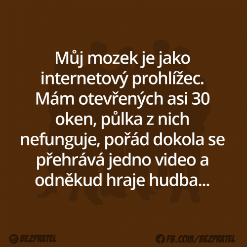  Mozek 