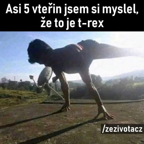  T-Rex 