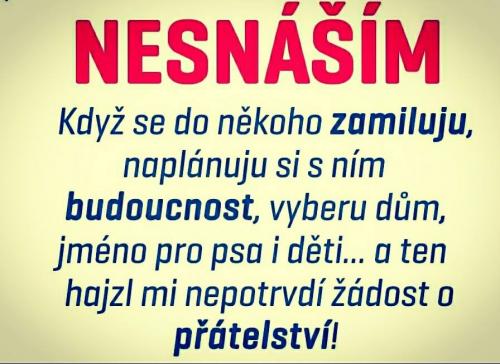 Nesnáším,,