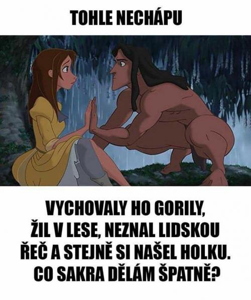  Tohle nechápu 