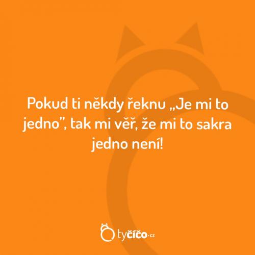  Jedno to opravdu není 