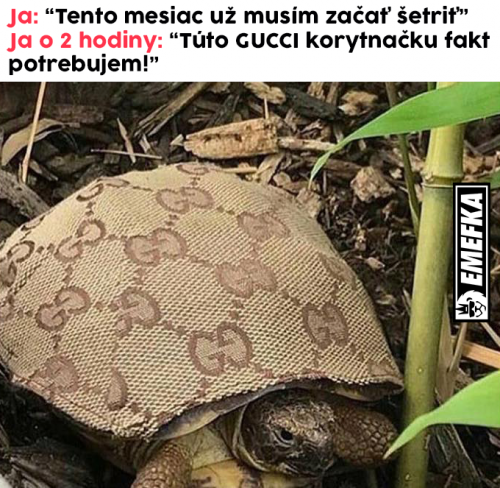 Zelva