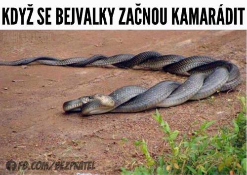 Bejvalka