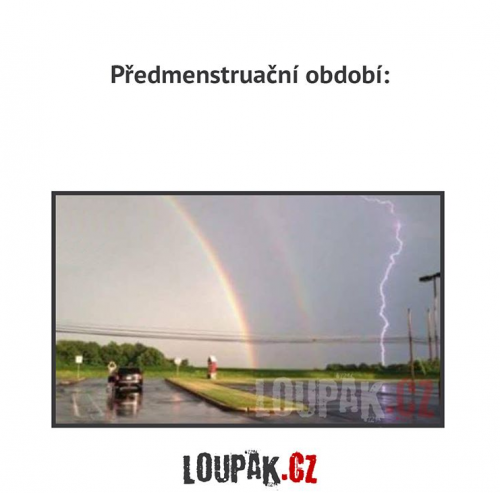 To obdoví