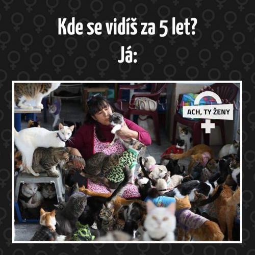  Kde se vidíš 