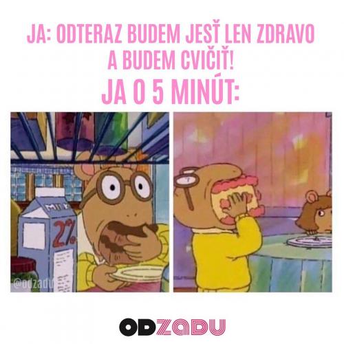  Cvičení 