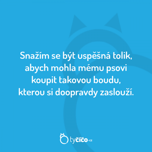 Úspěšná