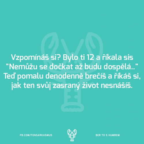Vzpomínáš si