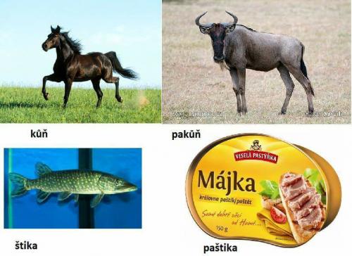 Paštika