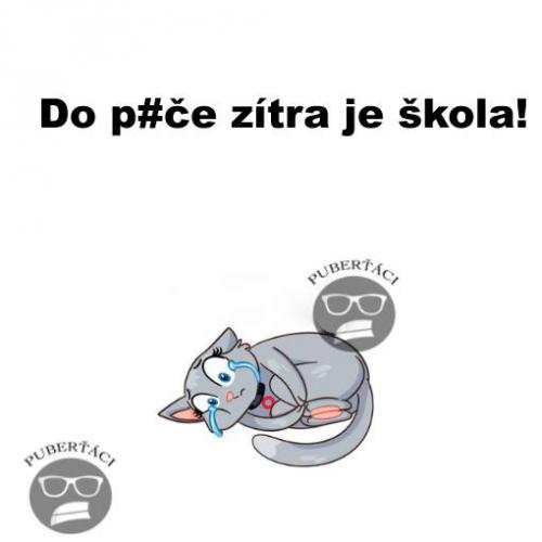  Škola 