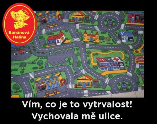  Vytrvalost 