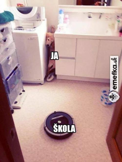  Škola 