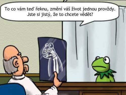 Provždy