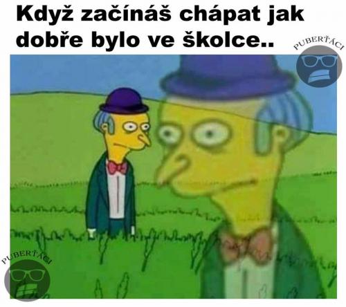 Chápu to