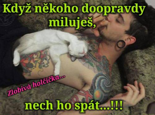 Dooúppravdy