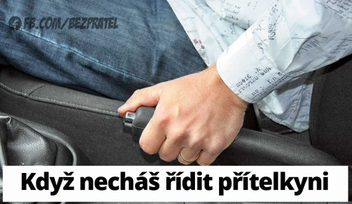 Rízení
