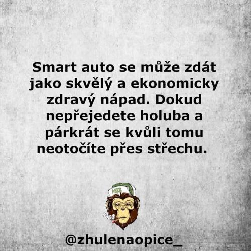  Smart 