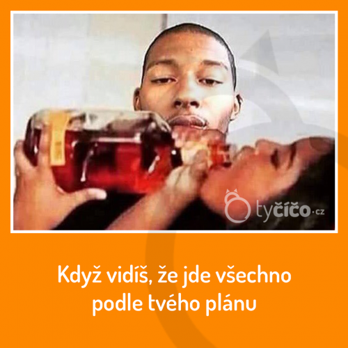  Podle plánu 